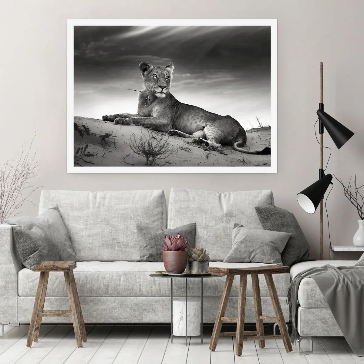 Plakat - Odpoczynek królowej pustyni - 40x30 cm