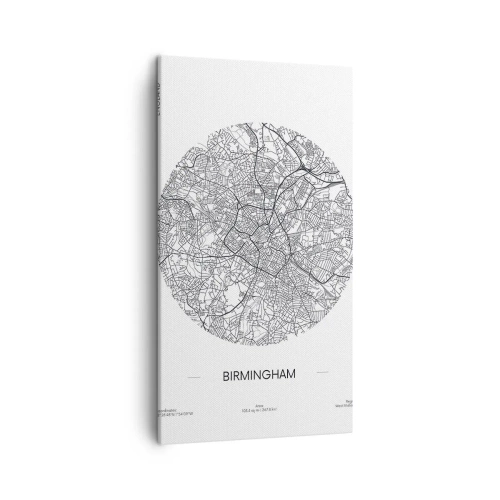 Obraz na płótnie - Anatomia Birmingham - 45x80 cm