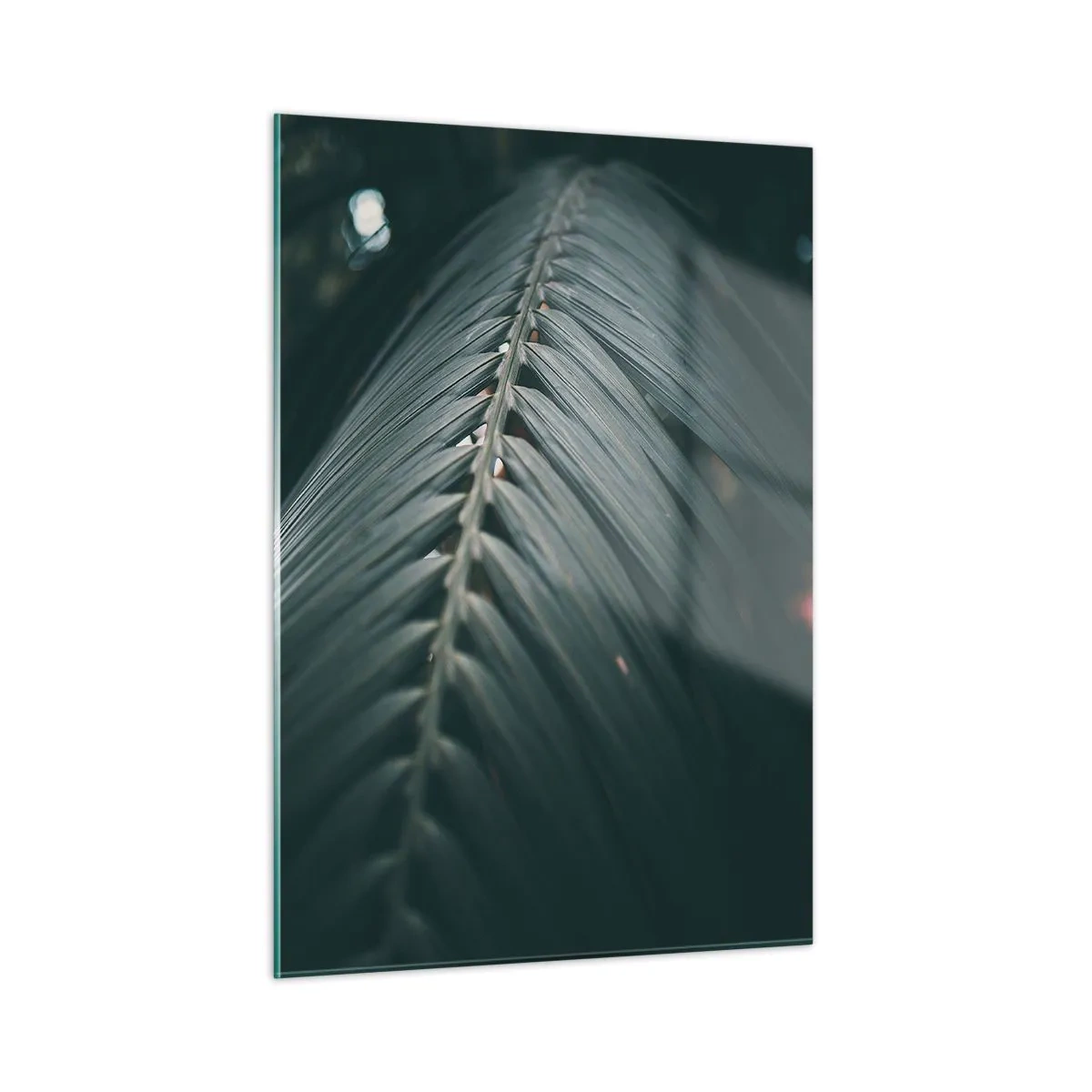 Obraz na szkle - Zbliżenie ciemnozielonego liścia palmy z odbiciem światła - 50x70cm - Precyzja natury - Nowoczesna dekoracja ścienna do salonu, kuchni i sypialni ARTTOR