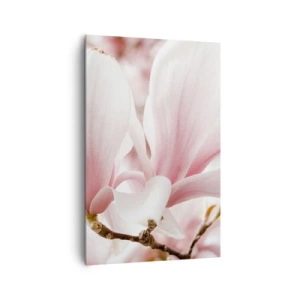 Obraz na płótnie - Delikatne kwiaty magnolii w pastelowych odcieniach - 80x120cm - Bezmiar czułości - Nowoczesna dekoracja ścienna do salonu i sypialni ARTTOR