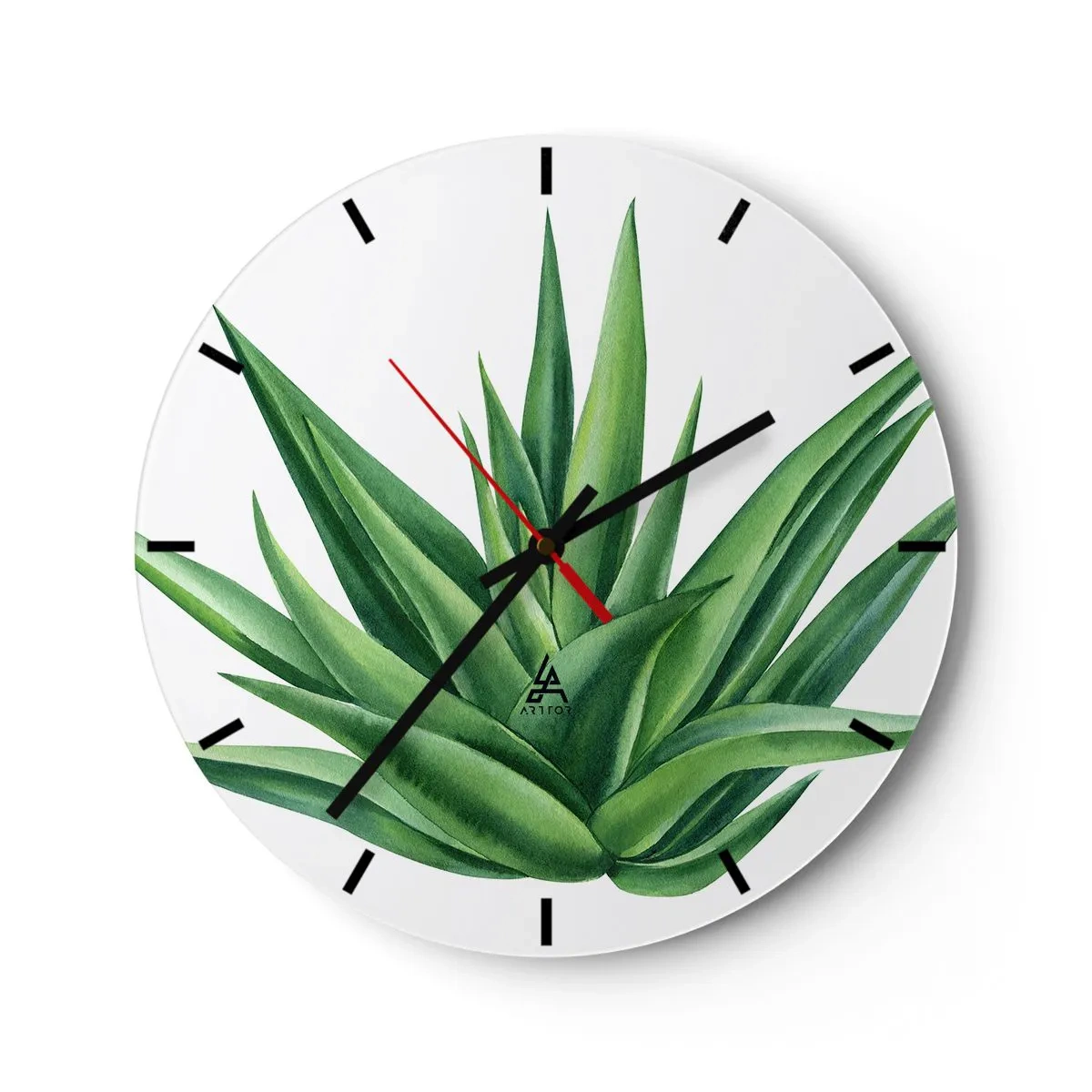 Zegar ścienny - Zielona agawa na białym tle w stylu botanicznym - 30x30cm - Zieleń – siła – życie - Nowoczesna dekoracja ścienna do salonu, kuchni i sypialni ARTTOR