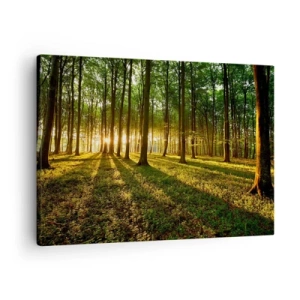Obraz na płótnie - Zachodzące słońce w lesie liściastym - 70x50cm - Fotografia wszystkich wiosen - Nowoczesna dekoracja ścienna do salonu i sypialni ARTTOR