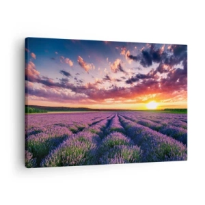 Obraz na płótnie - Pole lawendy o zachodzie słońca z kolorowym niebem - 70x50cm - Lawendowy świat - Nowoczesna dekoracja ścienna do salonu i sypialni ARTTOR