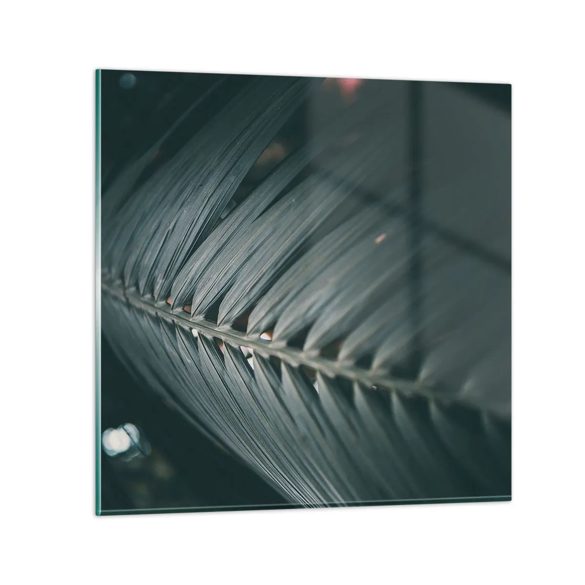 Obraz na szkle - Precyzja natury - 30x30 cm