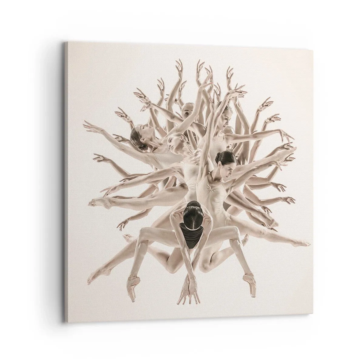Obraz na płótnie - Rozkwitanie w tańcu - 60x60 cm