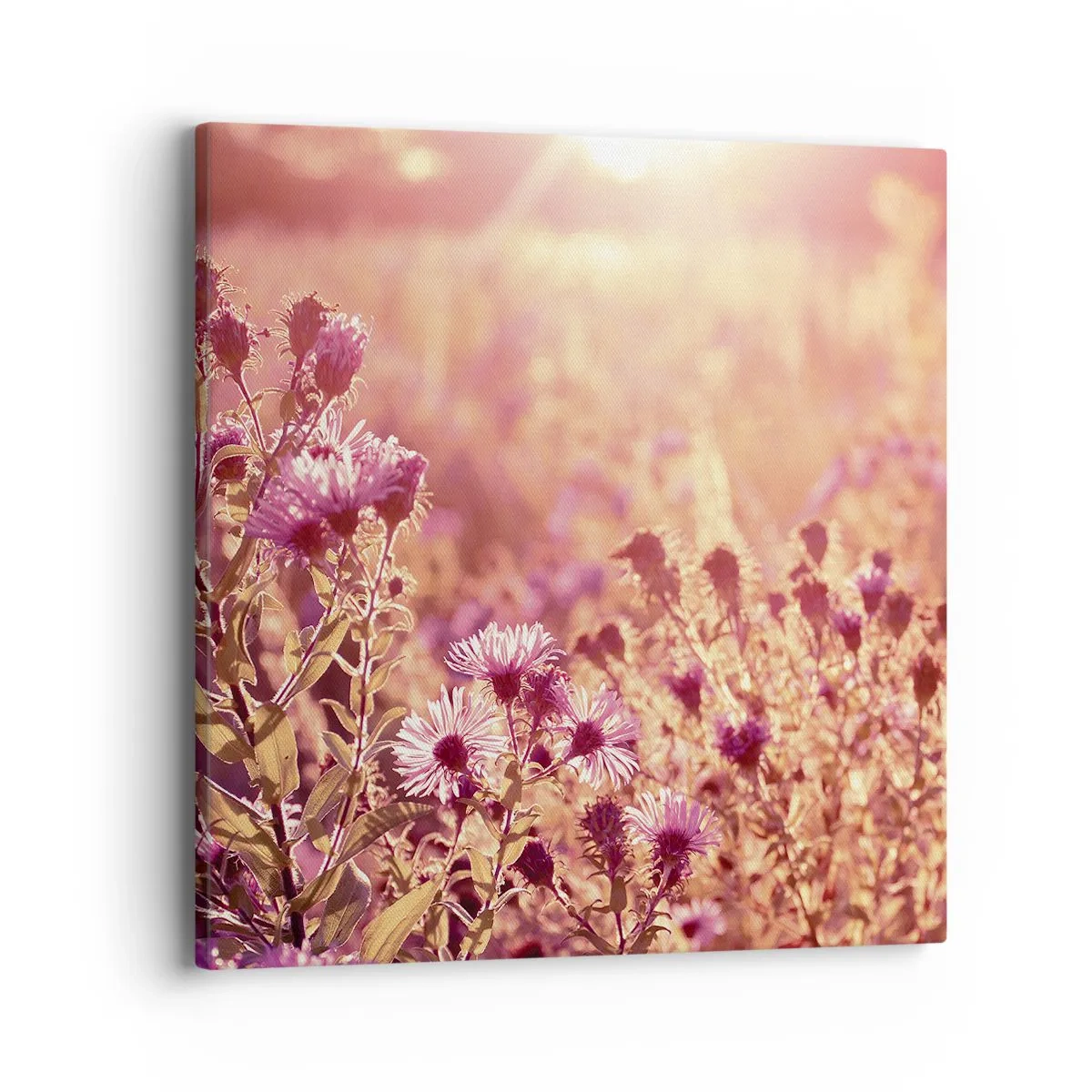 Obraz na płótnie - Przed odejściem lata - 40x40 cm