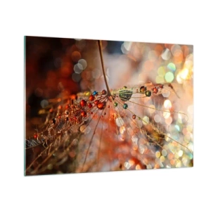 Obraz na szkle - Krople wody na delikatnej pajęczynie w świetle bokeh - 100x70cm - Nanizane na pajęczą nić - Nowoczesna dekoracja ścienna do salonu, kuchni i sypialni ARTTOR