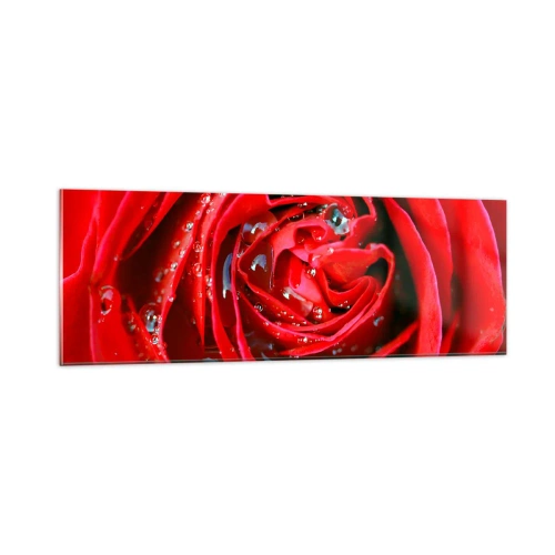 Obraz na szkle - W kroplach rosy - 90x30 cm
