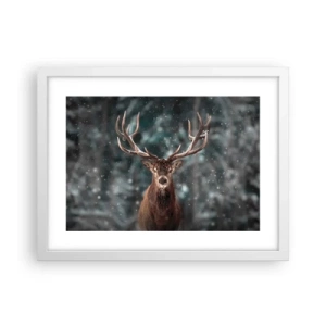 Plakat w białej ramie - Król lasu ukoronowany - 40x30 cm