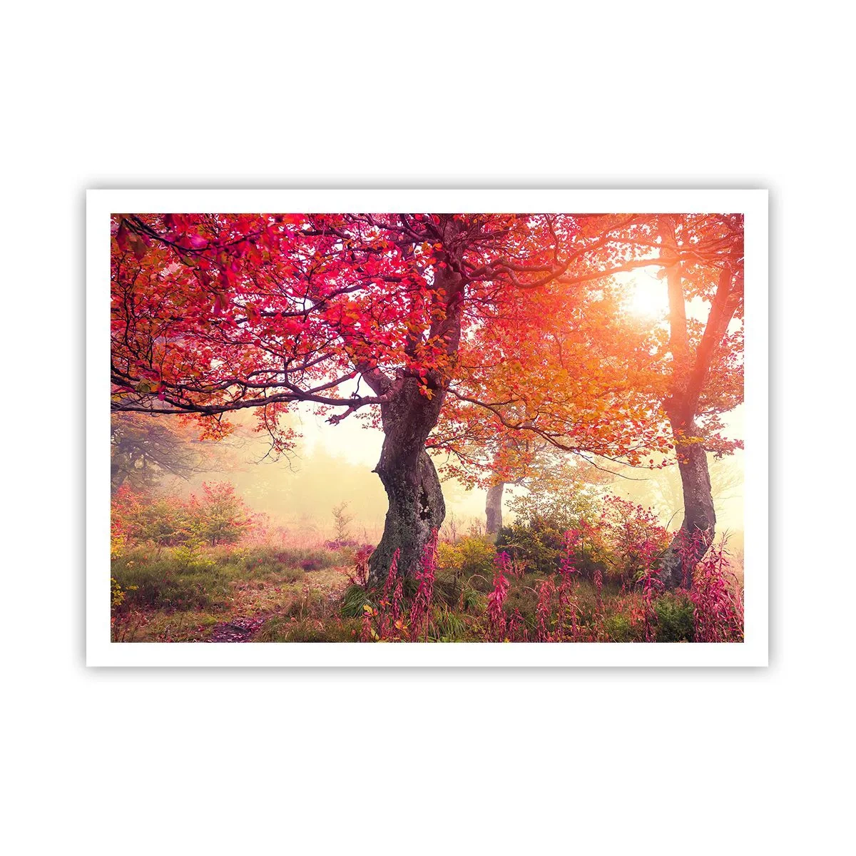 Plakat - Jesienny krajobraz z drzewami w intensywnych kolorach - 100x70cm - Szał rozkwitu - Nowoczesna dekoracja ścienna do salonu i sypialni ARTTOR