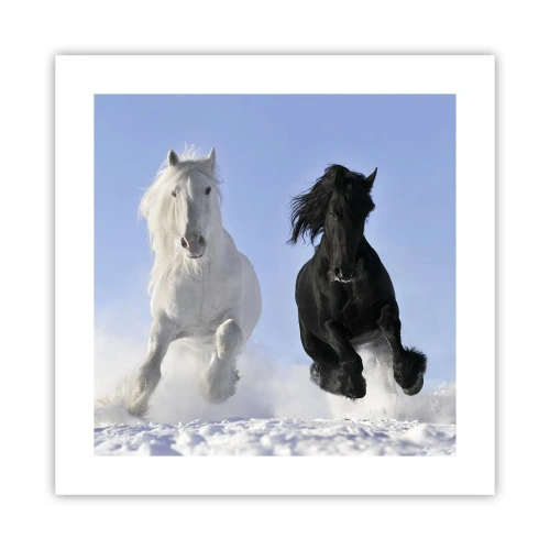 Plakat - Czarno-biały galop - 40x40 cm