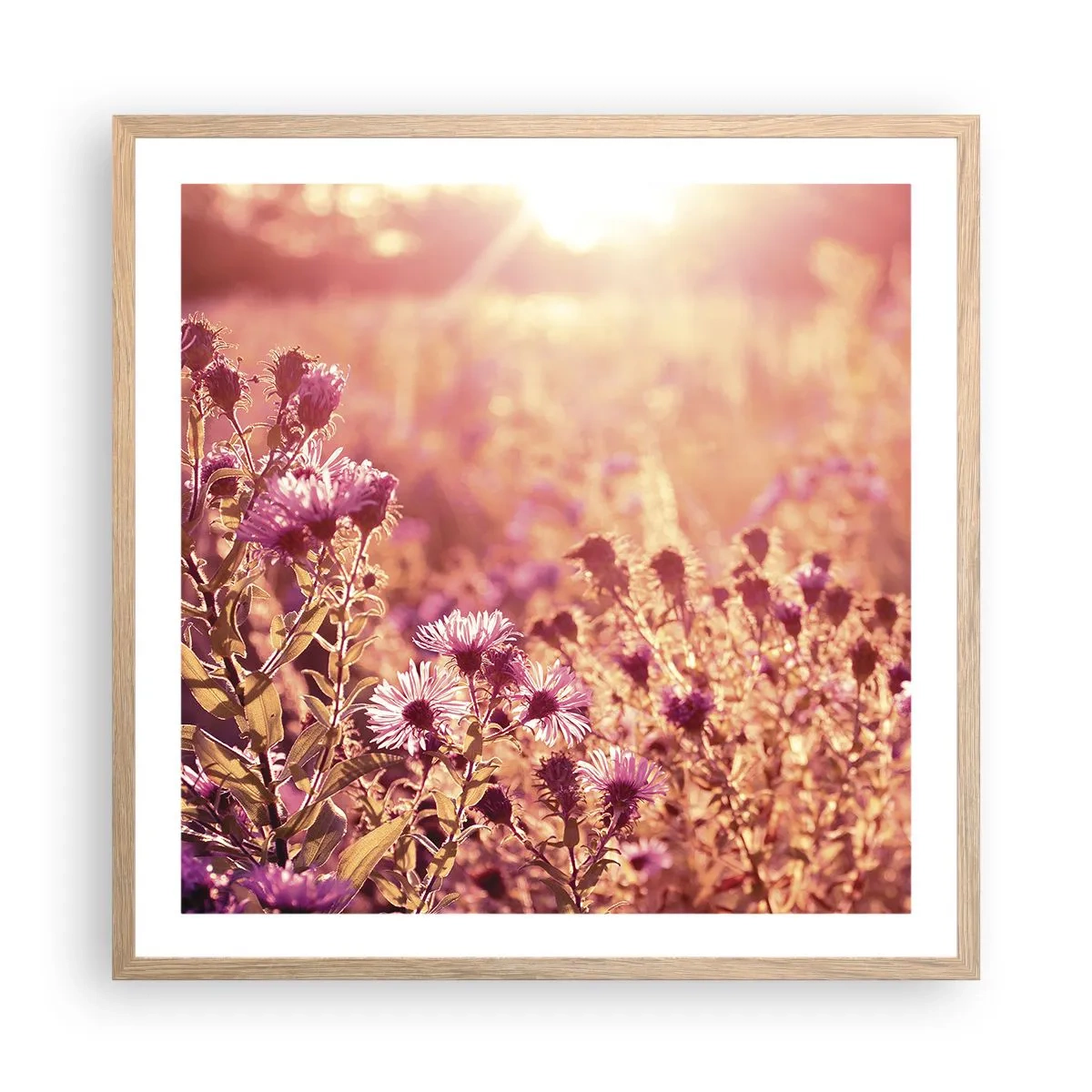 Plakat w ramie jasny dąb - Przed odejściem lata - 60x60 cm