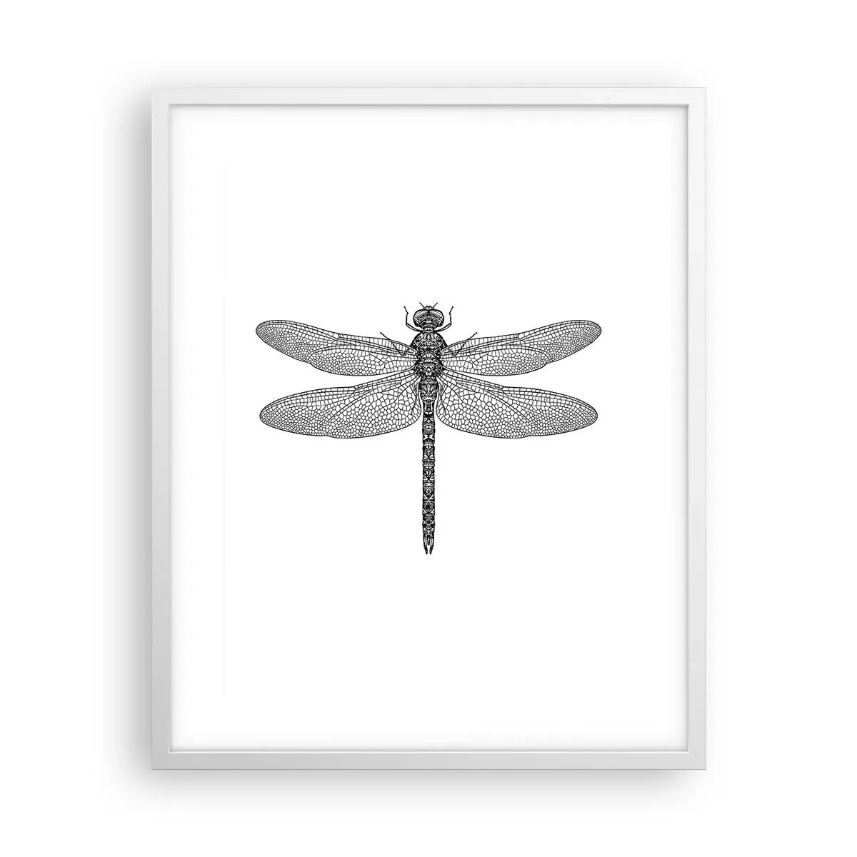 Plakat w białej ramie - Precyzja natury - 40x50 cm