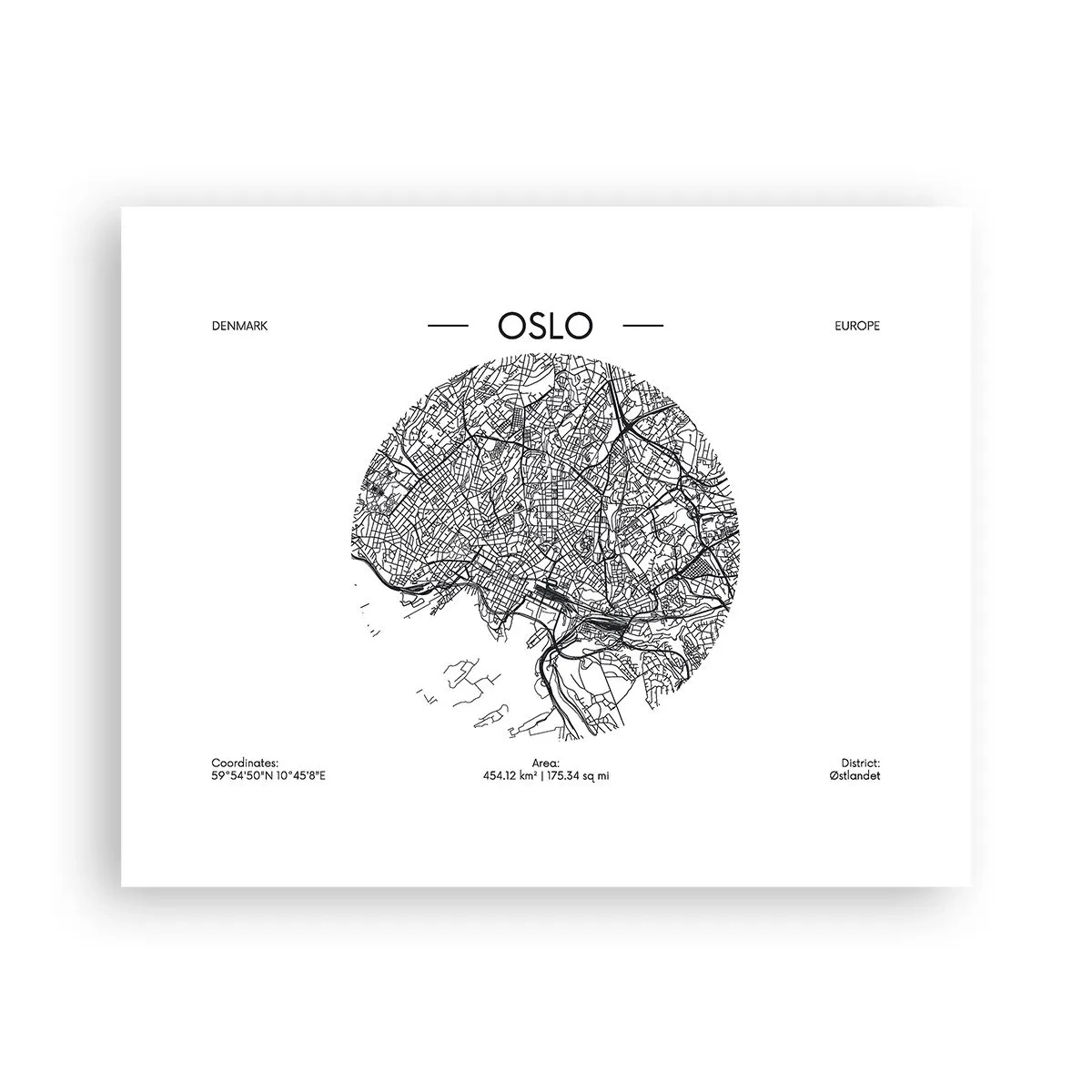 Plakat - Anatomia Oslo - 50x40 cm
