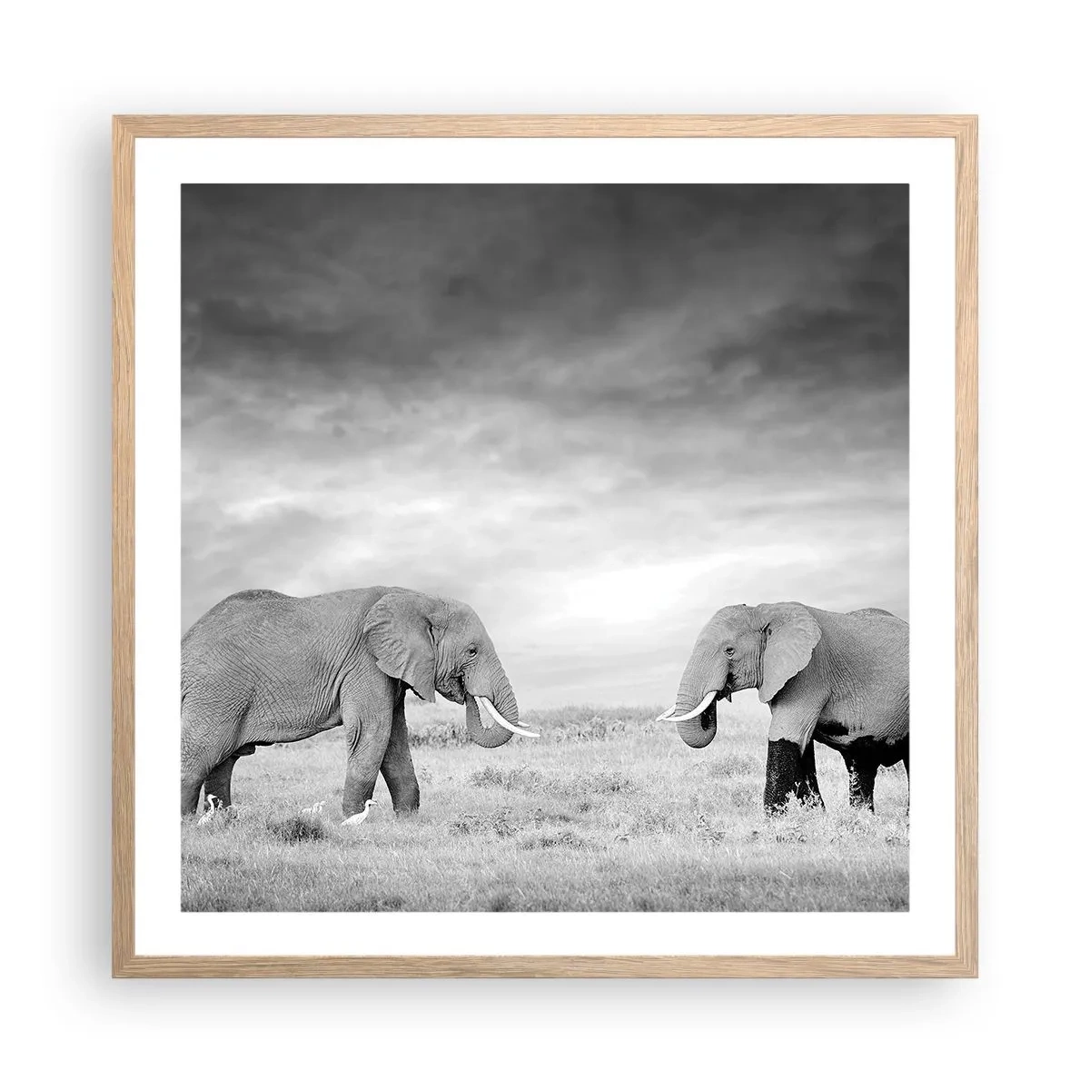 Plakat w ramie jasny dąb - Szare jest piękne - 60x60 cm