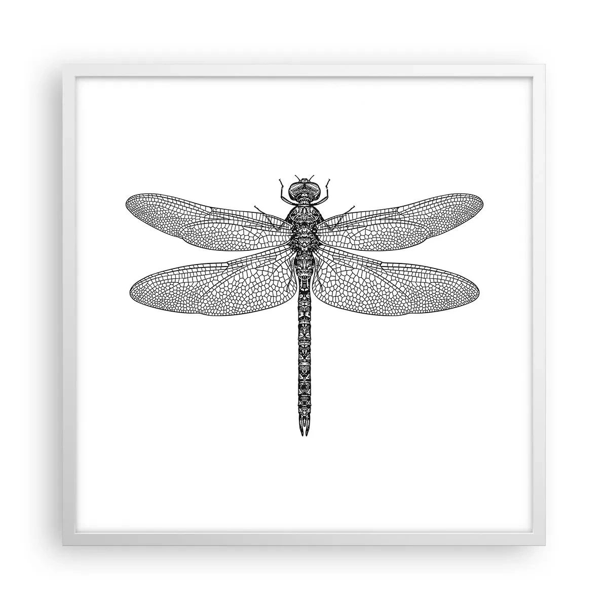 Plakat w białej ramie - Precyzja natury - 60x60 cm