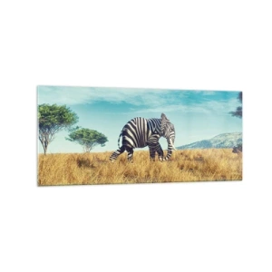 Obraz na szkle - Zebra w afrykańskim krajobrazie - 120x50cm - Szarość już niemodna - Nowoczesna dekoracja ścienna do salonu i sypialni ARTTOR