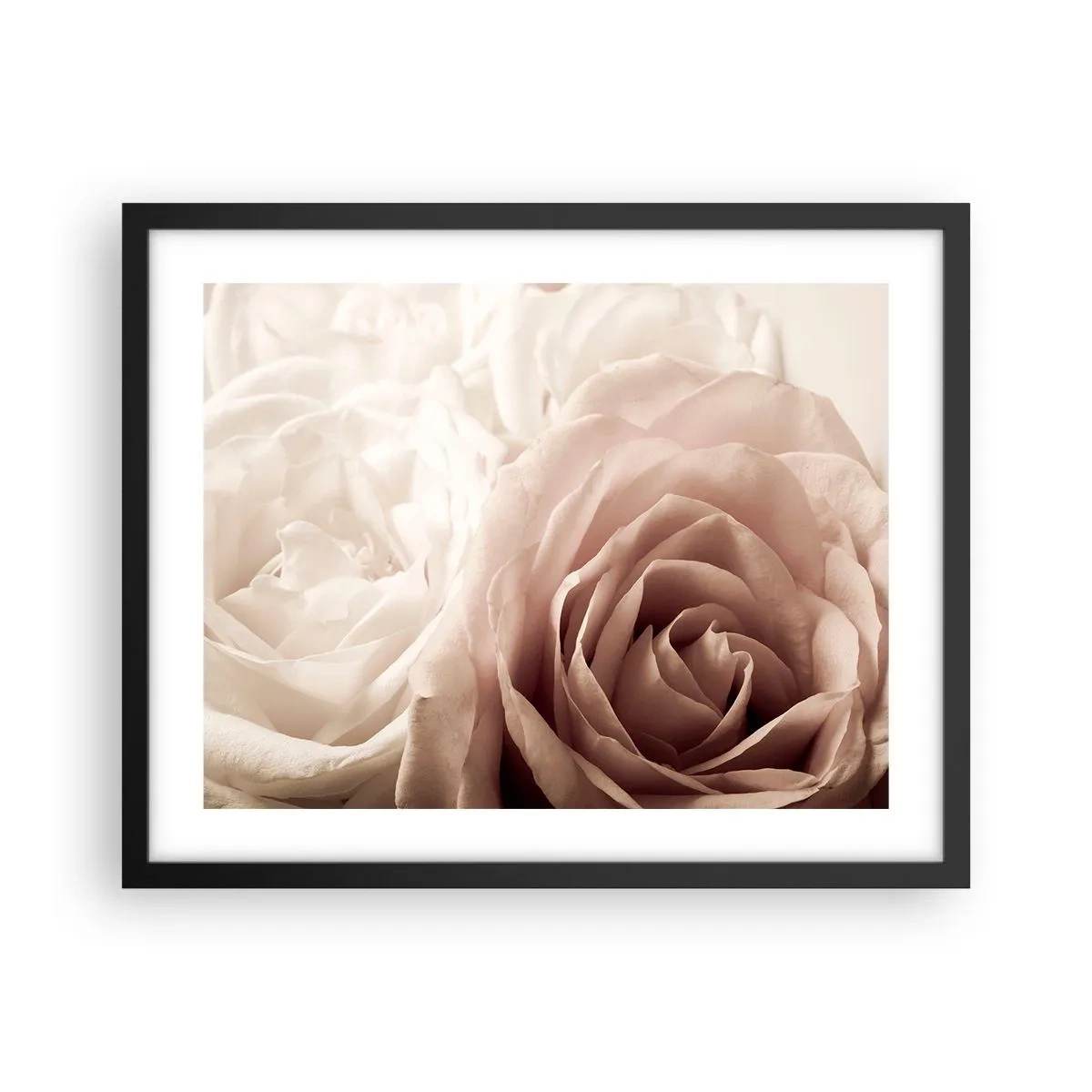 Plakat w czarnej ramie - W sercu róży - 50x40 cm