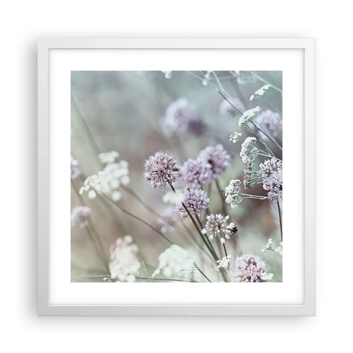 Plakat w białej ramie - Słodkie filigrany ziół - 40x40 cm