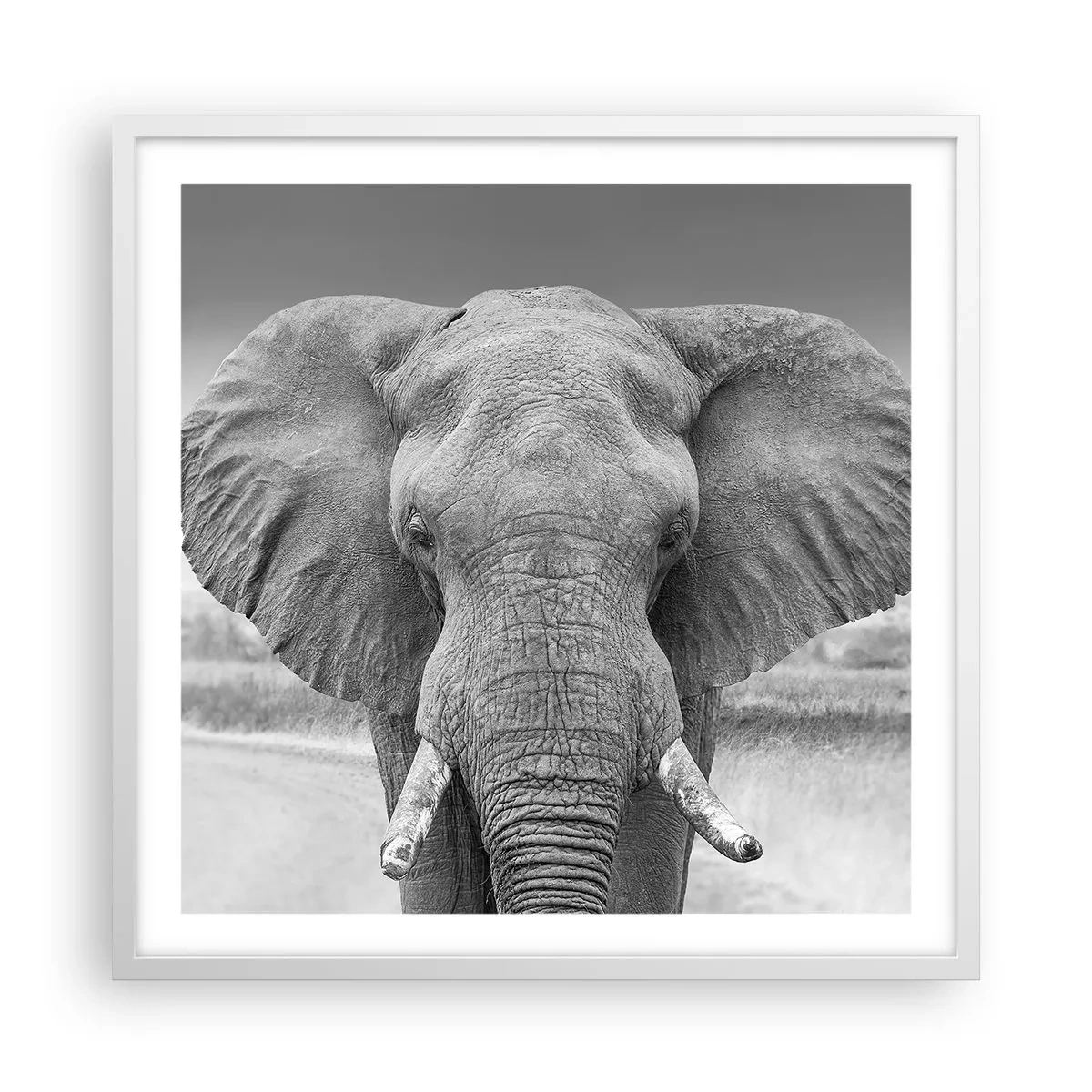 Plakat w białej ramie - Witaj w moim świecie - 60x60 cm