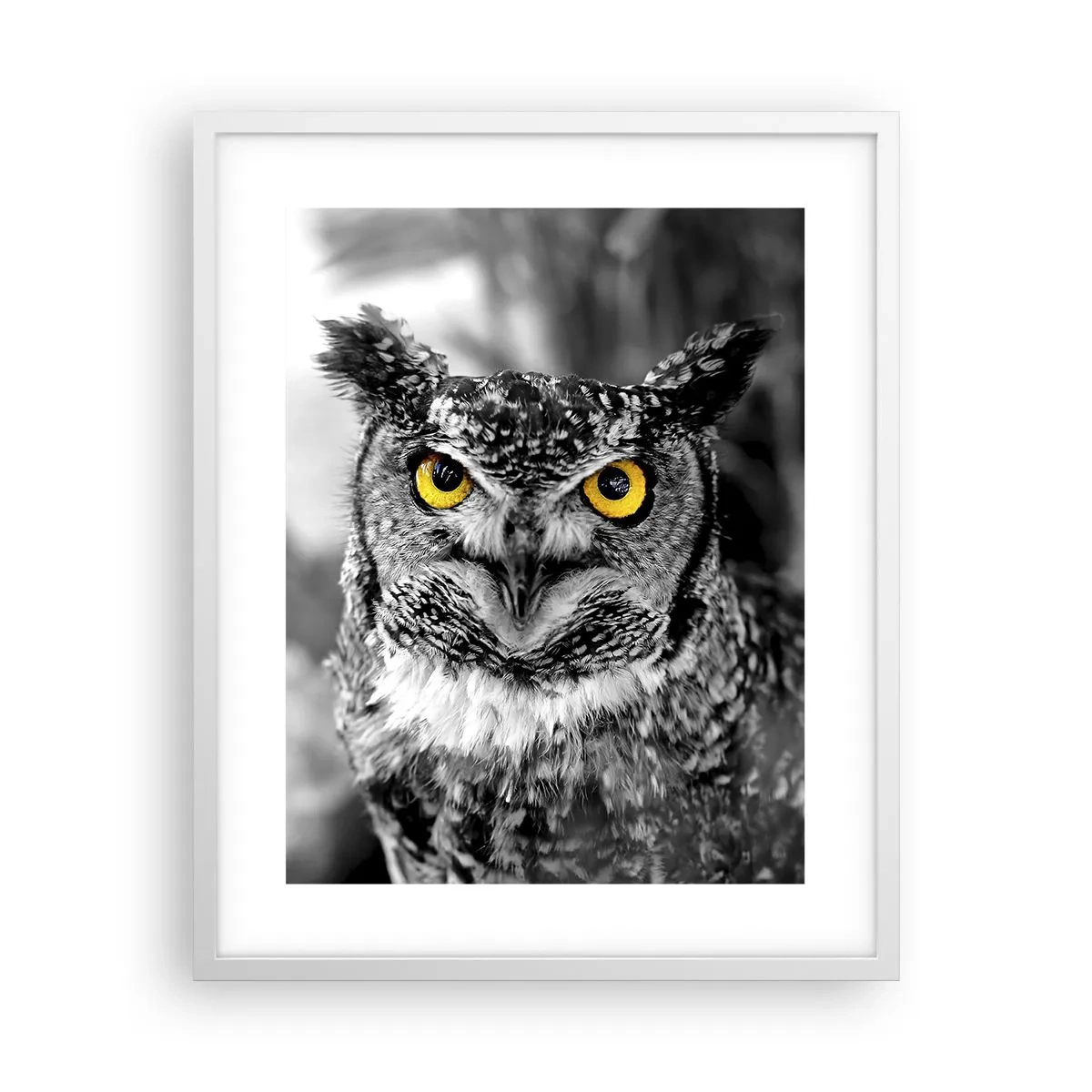 Plakat w białej ramie - Nic się nie ukryje - 40x50 cm