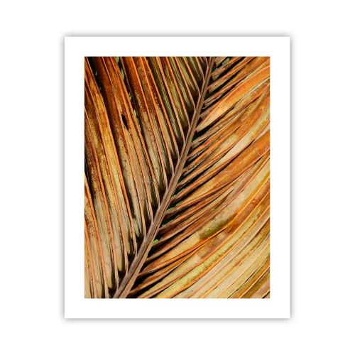 Plakat - Kokosowe złoto - 40x50 cm