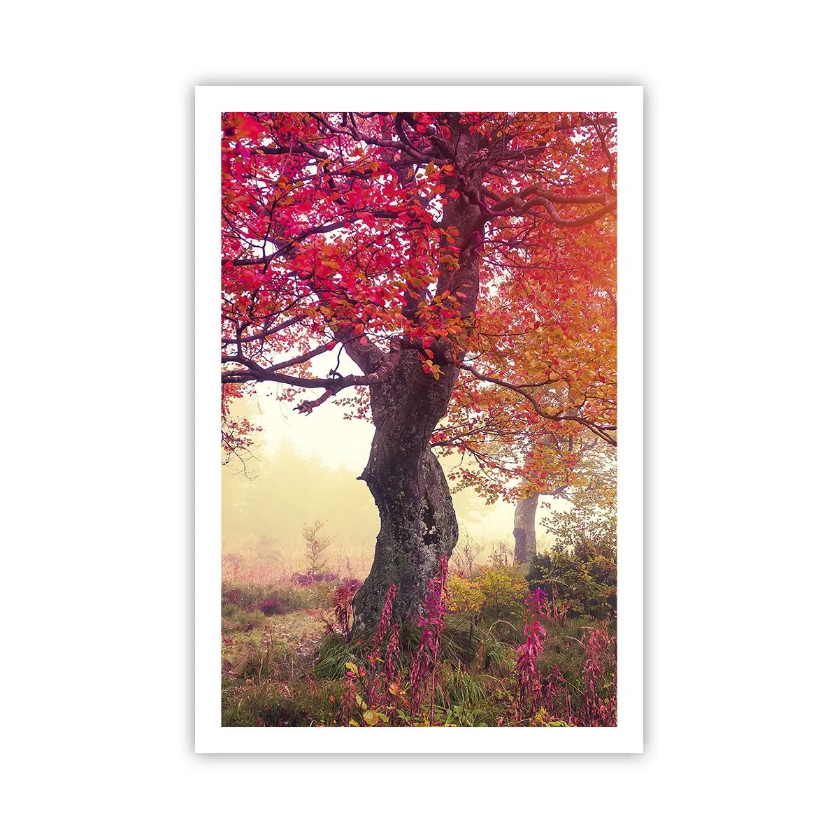Plakat - Szał rozkwitu - 61x91 cm