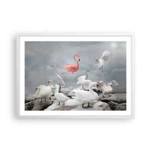 Plakat w białej ramie - Skąd się tu wziąłem? - 70x50 cm