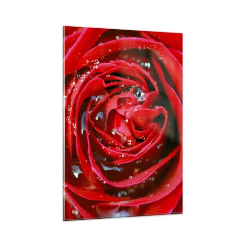 Obraz na szkle - Czerwona róża w zbliżeniu z kroplami wody na płatkach - 80x120cm - W kroplach rosy - Nowoczesna dekoracja ścienna do salonu i sypialni ARTTOR