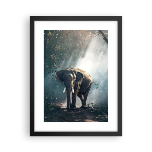 Plakat w czarnej ramie - Spokojna przechadzka - 30x40 cm