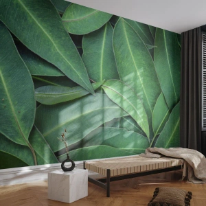Fototapeta Premium Canvas - Zbliżenie na zielone liście tworzące naturalny wzór - 100x70cm - Soczyste i świeże - Nowoczesna dekoracja ścienna do salonu i sypialni ARTTOR