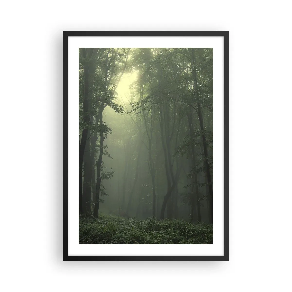 Plakat w czarnej ramie - Mgliste drzewa w zielonym lesie - 50x70cm - Zanim się obudzi - Nowoczesna dekoracja ścienna do salonu i sypialni ARTTOR