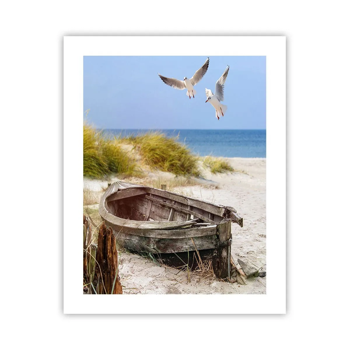 Plakat - Skąpane wiatrem - 40x50 cm