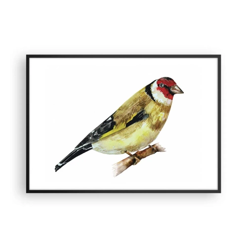 Plakat w czarnej ramie - Ptak z czerwonym łebkiem na gałęzi - 100x70cm - Ptasi portret - Nowoczesna dekoracja ścienna do salonu i sypialni ARTTOR