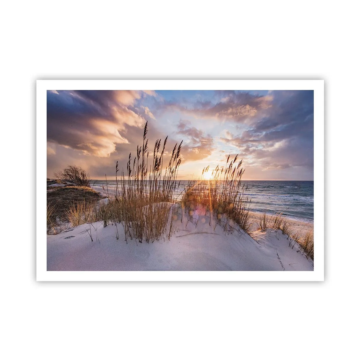 Plakat - Wydmy z trawami na tle zachodzącego słońca - 100x70cm - Pożegnanie słońca i wiatru - Nowoczesna dekoracja ścienna do salonu i sypialni ARTTOR