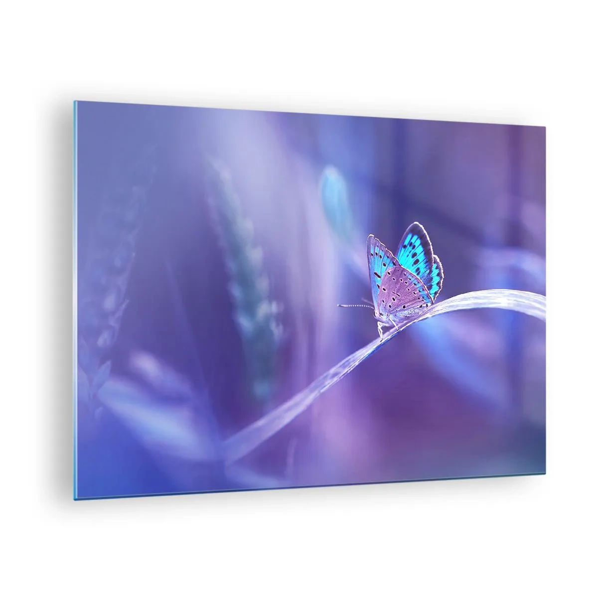 Obraz na szkle - Motyl na tle fioletowego światła - 70x50cm - Klejnot natury - Nowoczesna dekoracja ścienna do salonu i sypialni ARTTOR