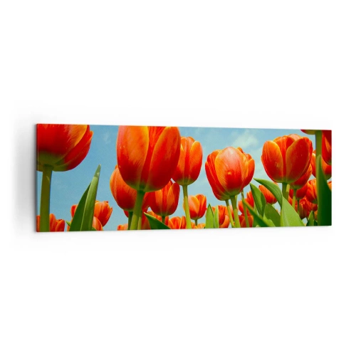 Obraz na płótnie - Pole czerwono-pomarańczowych tulipanów na tle błękitnego nieba - 160x50cm - Oprócz błękitnego nieba nic im w życiu nie potrzeba - Nowoczesna dekoracja ścienna do salonu i sypialni ARTTOR