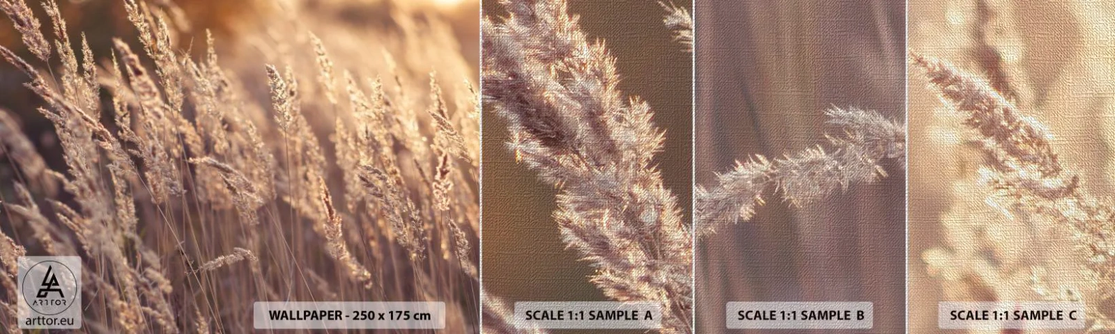 Fototapeta Próbka Premium Canvas - Gotowe na powitanie jesieni - Krajobraz, Kłosy Zboża, Łąka - 100x30 cm