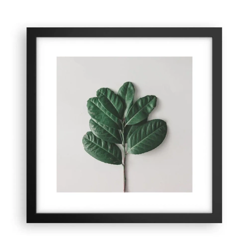 Plakat w czarnej ramie - Rysunek samej natury - 30x30 cm
