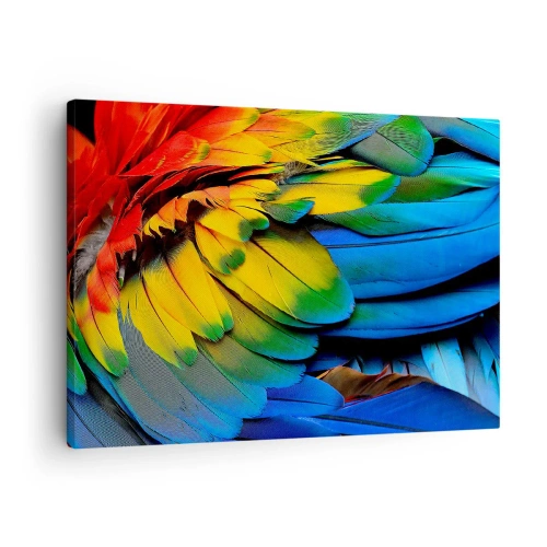 Obraz na płótnie - Kolorowe pióra papugi w zbliżeniu - 70x50cm - Rajski ptak - Nowoczesna dekoracja ścienna do salonu i sypialni ARTTOR