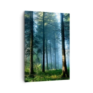 Obraz na płótnie - Mglisty las iglasty o poranku z promieniami słońca - 50x70cm - Rozpromieniony o poranku - Nowoczesna dekoracja ścienna do salonu, kuchni i sypialni ARTTOR