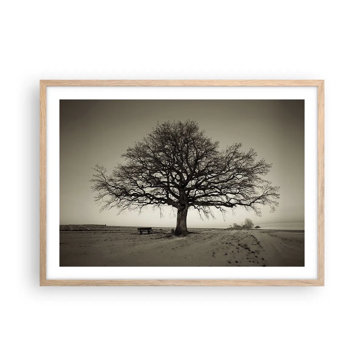 Plakat w ramie jasny dąb - Stąd do wieczności - 70x50 cm