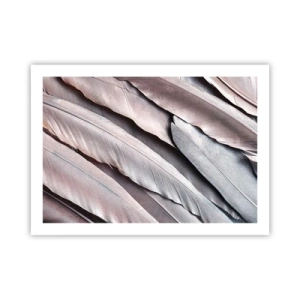 Plakat - W różowej srebrzystości - 70x50 cm
