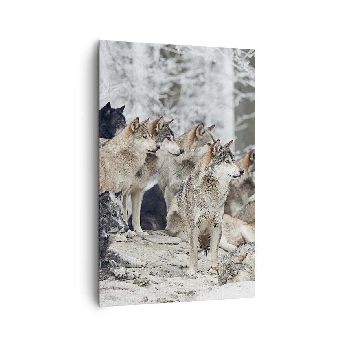 Obraz na płótnie - Stado wilków w zimowym lesie - 80x120cm - Rodzina i przyjaciele - Nowoczesna dekoracja ścienna do salonu i sypialni ARTTOR