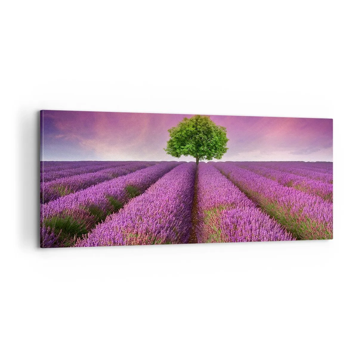 Obraz na płótnie - Na lawendowych polach - 100x40 cm