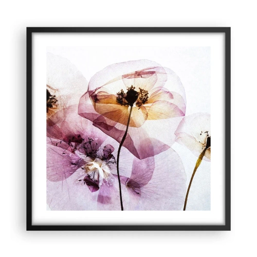 Plakat w czarnej ramie - Kwiatów ciała przezrocze - 50x50 cm