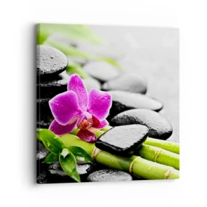 Obraz na płótnie - W spokojnej równowadze - 30x30 cm