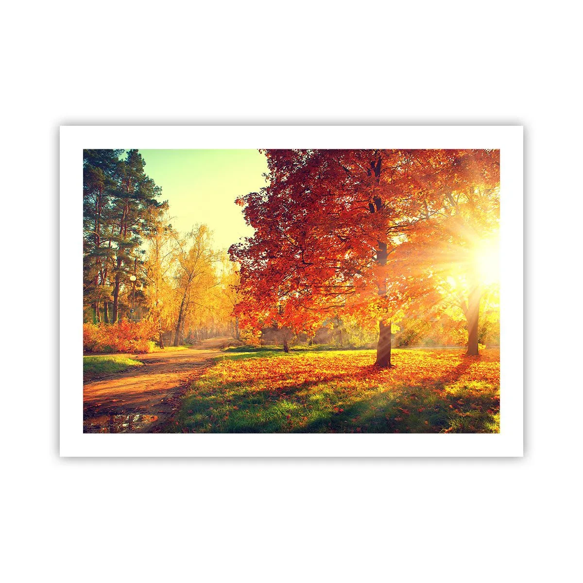 Plakat - Rude jest piękne - 70x50 cm