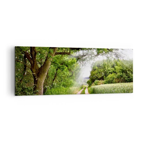 Obraz na płótnie - Polna droga wśród zielonych drzew i promieni słońca - 140x50cm - Et in Arcadia ego - Nowoczesna dekoracja ścienna do salonu i sypialni ARTTOR