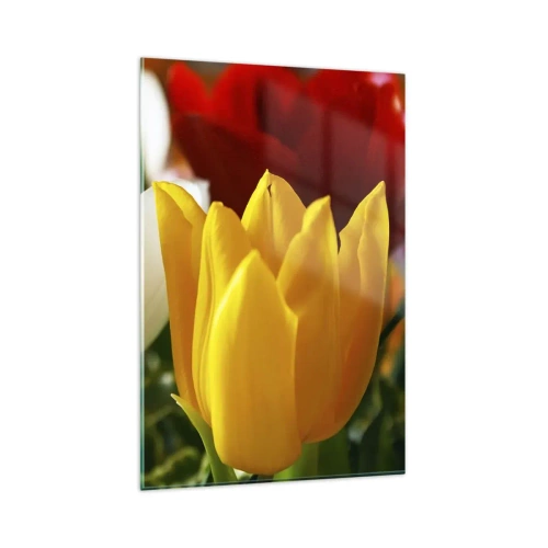 Obraz na szkle - Kolorowe tulipany w zbliżeniu na wiosennym tle - 80x120cm - Tulipanowa gorączka - Nowoczesna dekoracja ścienna do salonu i sypialni ARTTOR